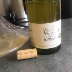 Le Blanc - Domaine de Botheland - Rémi Dufaitre & Laurence Liatard 
