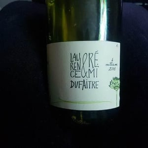 Le Blanc - Domaine de Botheland - remi-dufaitre-laurence-liatard