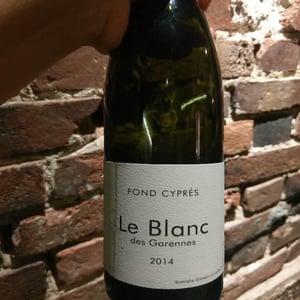 Fond Cyprès - Rodolphe Gianesini & Laetitia Ourliac - LE BLANC DES GARENNES