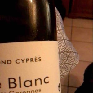 Fond Cyprès - Rodolphe Gianesini & Laetitia Ourliac - LE BLANC DES GARENNES