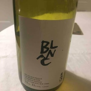 Mas Brunet - Rémy Kuntz - Le Blanc
