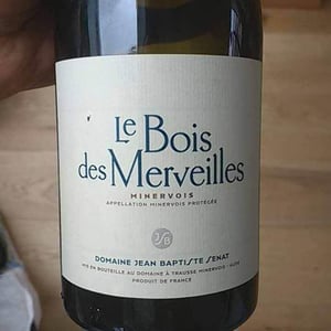 Le Bois Des Merveilles - Jean-Baptiste Senat - charlotte-jean-baptiste-senat