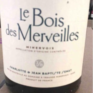 Le Bois Des Merveilles - Jean-Baptiste Senat - charlotte-jean-baptiste-senat