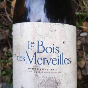 Le Bois Des Merveilles - Jean-Baptiste Senat - charlotte-jean-baptiste-senat