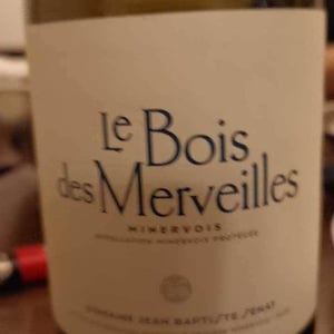 Le Bois Des Merveilles - Jean-Baptiste Senat - charlotte-jean-baptiste-senat