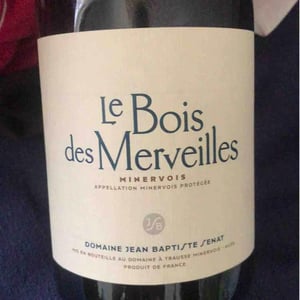 Le Bois Des Merveilles - Jean-Baptiste Senat - Charlotte & Jean-Baptiste Senat 
