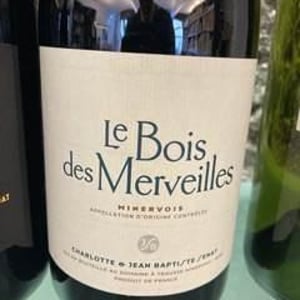 Le Bois Des Merveilles - Jean-Baptiste Senat - Charlotte & Jean-Baptiste Senat 
