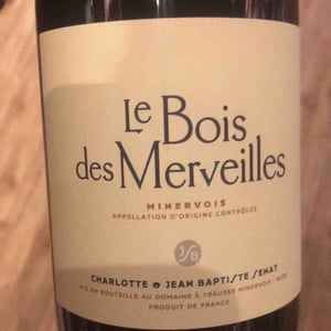 Le Bois Des Merveilles - Jean-Baptiste Senat - charlotte-jean-baptiste-senat