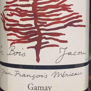 Le Bois Jacou - Jean François Mérieau - jean-francois-merieau