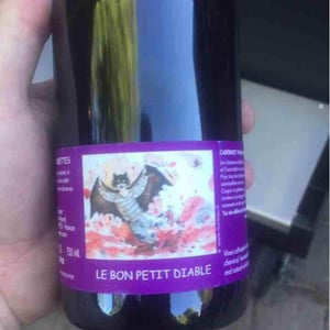 Le Bon Petit Diable - Les Sablonnettes - christine-joel-menard