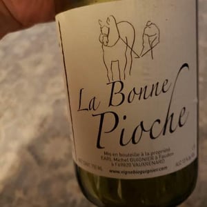 Michel Guignier - Michel Guignier - La Bonne Pioche