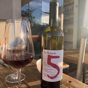 Le Boncie 5 - Podere Le Boncie - Giovanna Morganti 