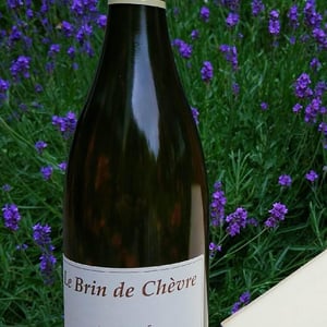 Clos du Tue-Bœuf - Zoé, Louise & Thierry Puzelat - Le Brin de Chèvre