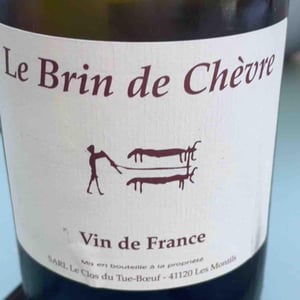 Clos du Tue-Bœuf - Zoé, Louise & Thierry Puzelat - Le Brin de Chèvre