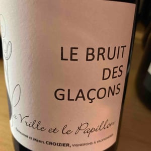 Le Bruit Des Glaçons - La Vrille et le Papillon - geraldine-meryl-croizier