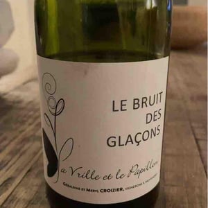Le Bruit Des Glaçons - La Vrille et le Papillon - geraldine-meryl-croizier