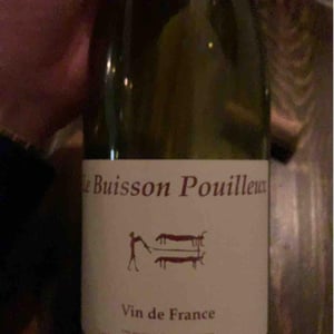 Le Buisson Pouilleux - Clos du Tue-Bœuf - Zoé, Louise & Thierry Puzelat 