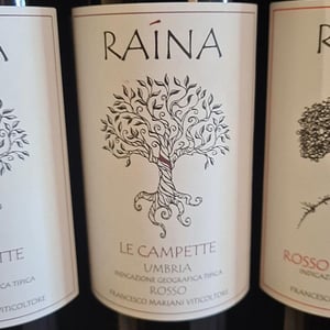 Le Campette Montefalco Rosso Doc - Raína - Francesco Mariani 