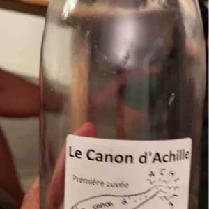 Le Canon D'Achille - La Vrille et le Papillon - Géraldine & Méryl Croizier 