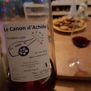 La Vrille et le Papillon - Géraldine & Méryl Croizier - Le Canon D'Achille