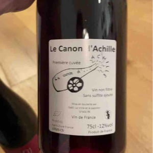 Le Canon D'Achille - La Vrille et le Papillon - Géraldine & Méryl Croizier 