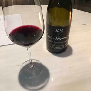 Le Carignan de la Source - Fond Cyprès - rodolphe-gianesini-laetitia-ourliac