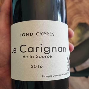 Le Carignan de la Source - Fond Cyprès - Rodolphe Gianesini & Laetitia Ourliac 