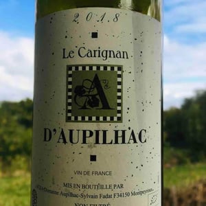 Le Carignan - Domaine d'Aupilhac - desiree-sylvain-fadat