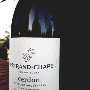 Le Cerdon - Bertrand CHAPEL - bertrand-chapel
