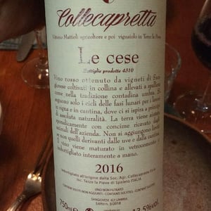 Le Cese - Collecapretta - Anna & Vittorio Mattioli 