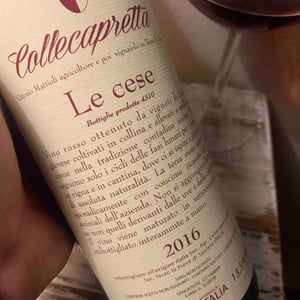 Le Cese - Collecapretta - Anna & Vittorio Mattioli 