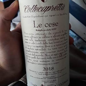 Le Cese - Collecapretta - Anna & Vittorio Mattioli 