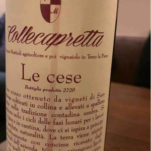 Le Cese - Collecapretta - Anna & Vittorio Mattioli 