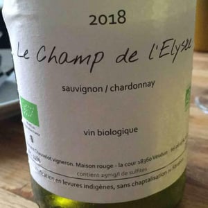 Le Champ De L’Elysee 18 - Vincent Chauvelot - Vincent Chauvelot