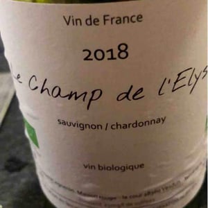 Vincent Chauvelot - Vincent Chauvelot - Le Champ De L’Elysee