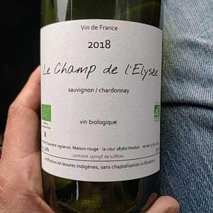 Le Champ De L’Elysee - Vincent Chauvelot - Vincent Chauvelot 