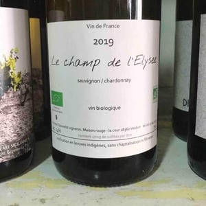 Le Champ De L’Elysee - Vincent Chauvelot - Vincent Chauvelot 