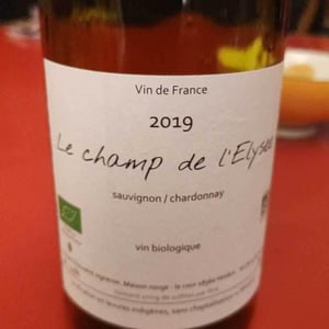 Le Champ De L’Elysee - Vincent Chauvelot - Vincent Chauvelot 
