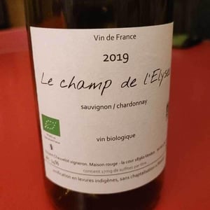 Le Champ De L’Elysee - Vincent Chauvelot - Vincent Chauvelot 
