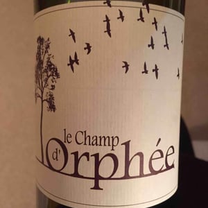 Le Champ d'Orphée - Le Champ d'Orphée - Stéphane Lucas 