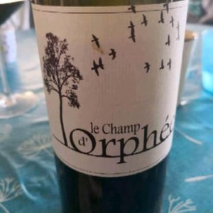 Le Champ d'Orphée - Le Champ d'Orphée - Stéphane Lucas 