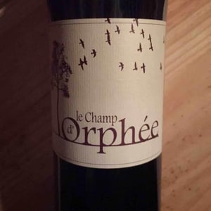Le Champ d'Orphée - Le Champ d'Orphée - stephane-lucas