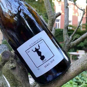 Le Champ Du Clos - Brut Nature - Charles Dufour - charles-dufour