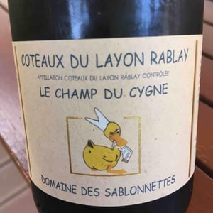 Le Champ Du Cygne - Les Sablonnettes - Christine & Joël Ménard 