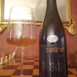Le Charme du Loir - Les Vignes de l'Angevin - jean-pierre-robinot