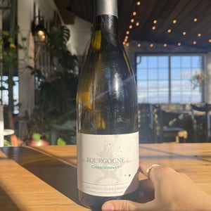 Le Chat Blanc - Domaine du Clair Obscur - jennifer-et-pierre-clair