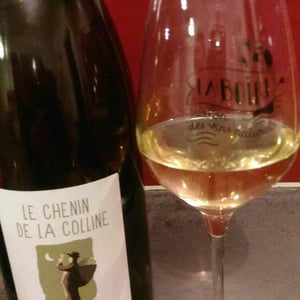 Domaine de la Garreliére - Pascale & François Plouzeau - Le Chenin De La Colline
