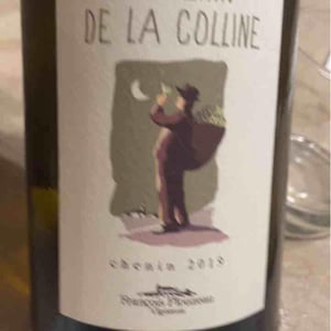 Domaine de la Garreliére - Pascale & François Plouzeau - Le Chenin De La Colline