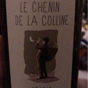 Domaine de la Garreliére - Pascale & François Plouzeau - Le Chenin De La Colline