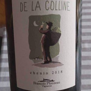 Domaine de la Garreliére - Pascale & François Plouzeau - Le Chenin De La Colline